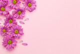 Spring flowers and petals background