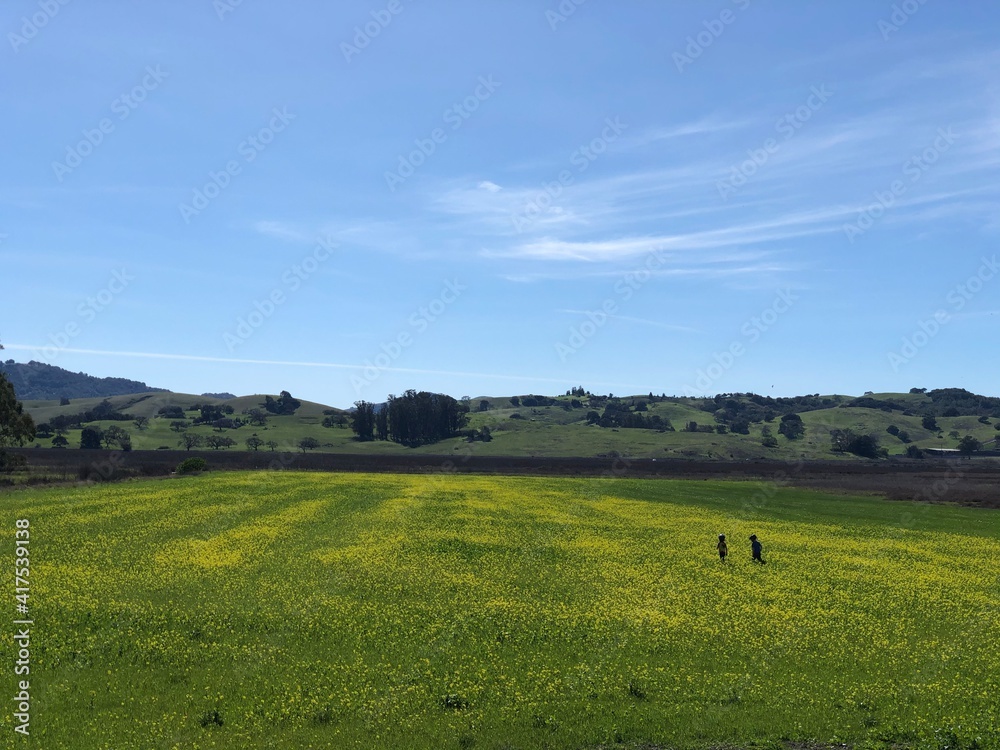 Two friends run across a field of mustard flowers Two friends run across a field of mustard flowers