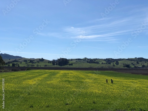 Two friends run across a field of mustard flowers © Kate