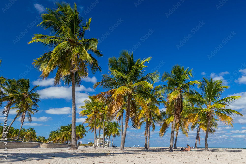 palm trees on the beach in Key West, Florida