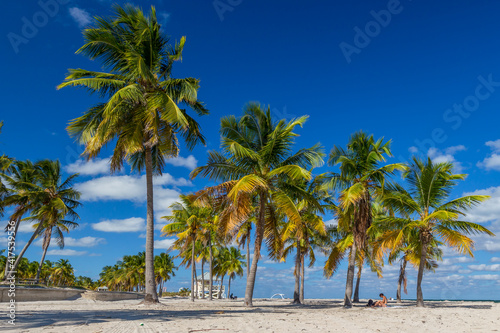 Fototapeta Naklejka Na Ścianę i Meble -  palm trees on the beach in Key West, Florida