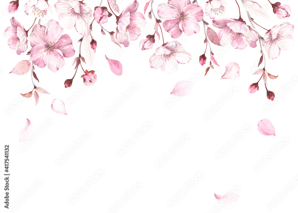 Flowers, buds and fall petals sakura on white background. Watercolor spring illustration with branches blossoming cherry, horizontal border, banner or frame for your text.