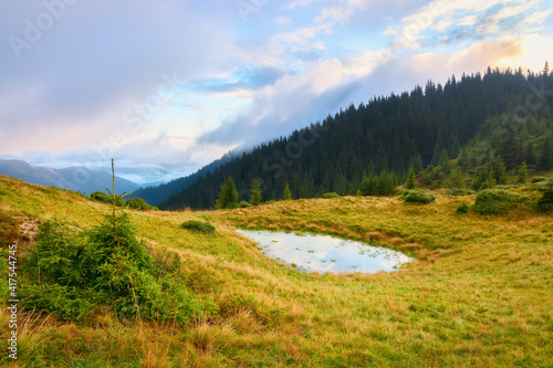 Bright Carpathian landscape in the morning light with beautiful green grass. After a thunderstorm. Rising fog.