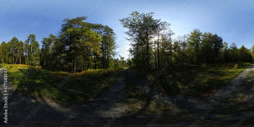 Forest in the Summer HDRI Panorama Forest in the Summer HDRI Panorama