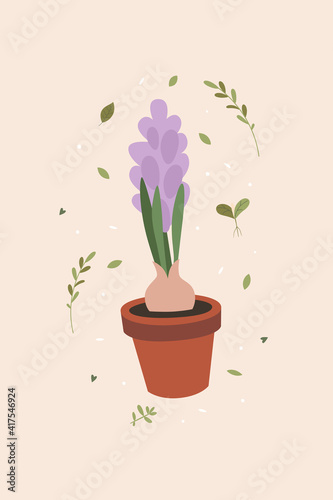 Lilac hyacinth in a pot on a light isolated background. Spring botanical illustration.