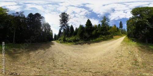 Gravel Road in the forest HDRI Panorama