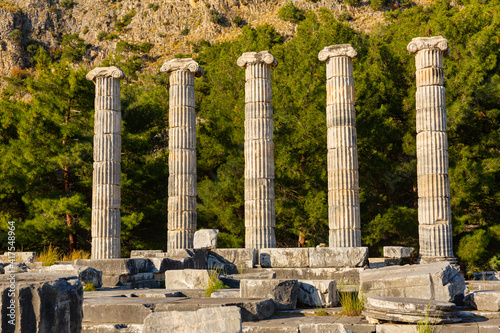 Five remained columns on ruins of ancient Temple of Athena Polias in Priene, Aydin Province, Turkey.. photo