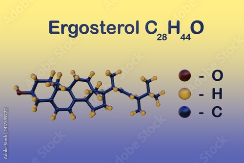 Fényképezés Structural chemical formula and molecular model of ergosterol or provitamin D2, a sterol found in cell membranes of fungi and protozoa