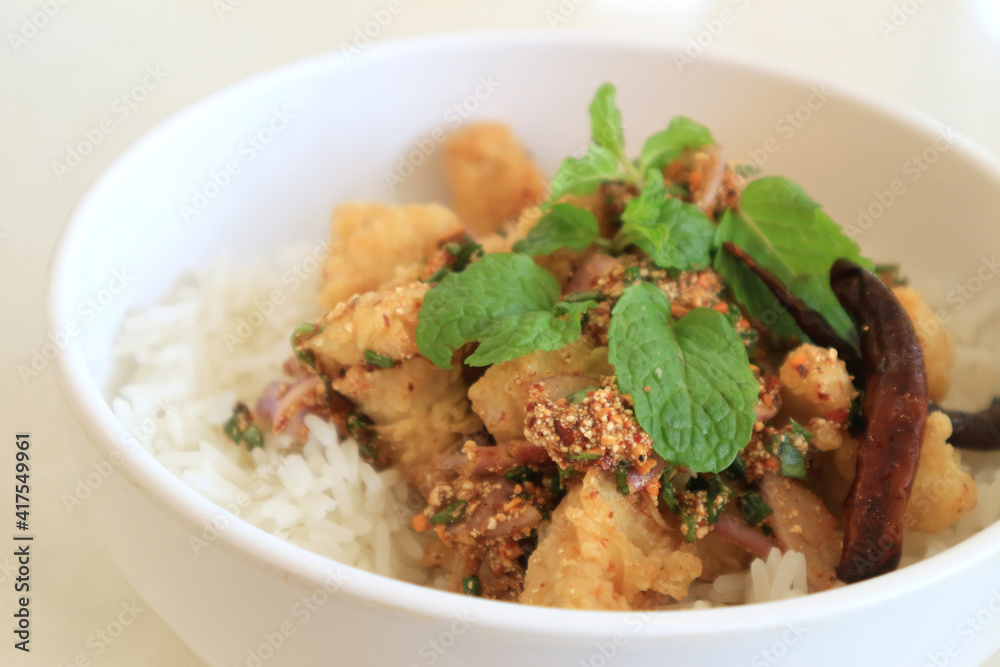 Rice and fried chicken in a white bowl