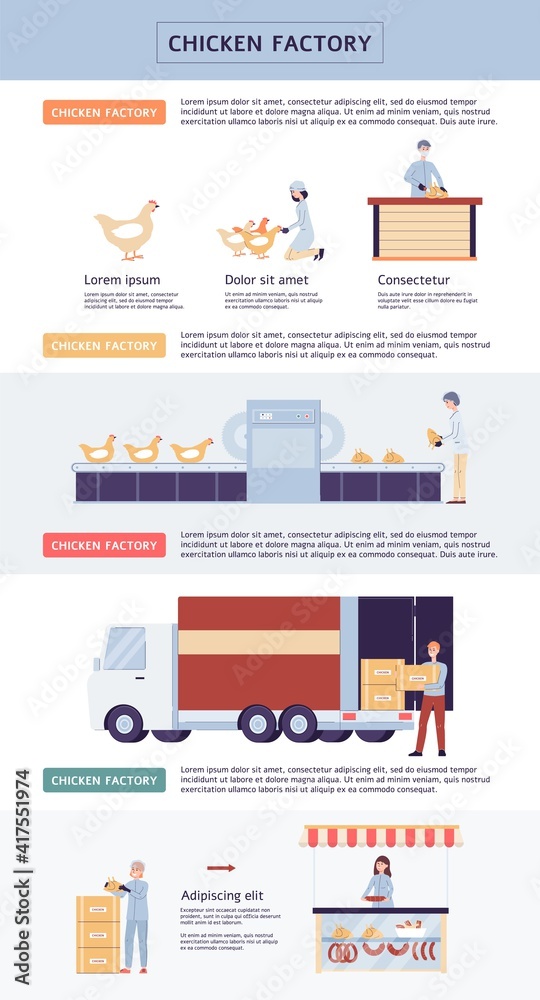 Chicken meat and eggs production factory infographic flat vector illustration.