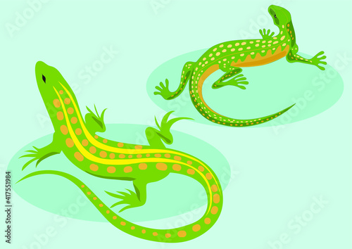 A green lizard with yellow stripes on a blue background. The lizards are sitting. Reptiles