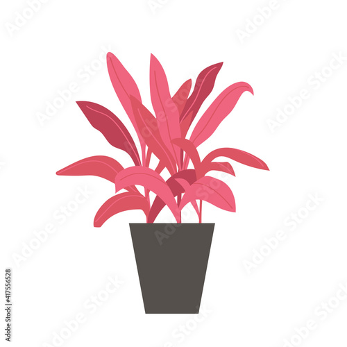 Home plant Cordyline in flat style. Modern elegant home decor. Vector illustration isolated on white background.