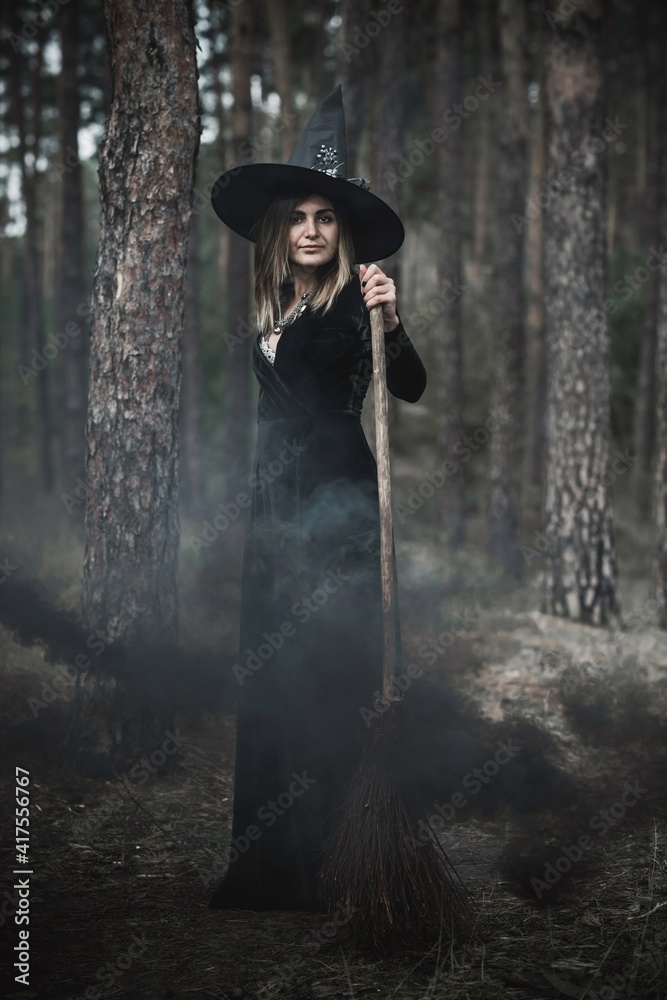 Obraz premium Witch at wood, fog around, magic concept, illustration for rituals and mystical scene