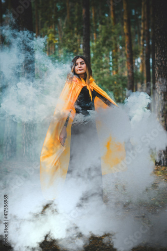 Witch at wood, fog around, magic concept, illustration for rituals and mystical scene