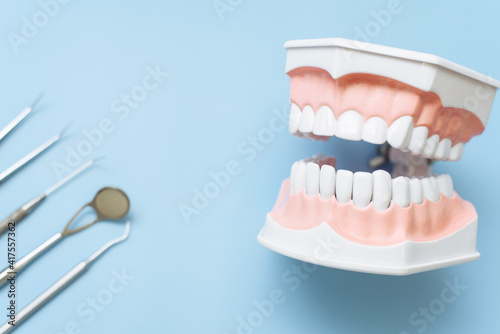 Artificial jaw and dental mirror  tweezers and probe on a blue background