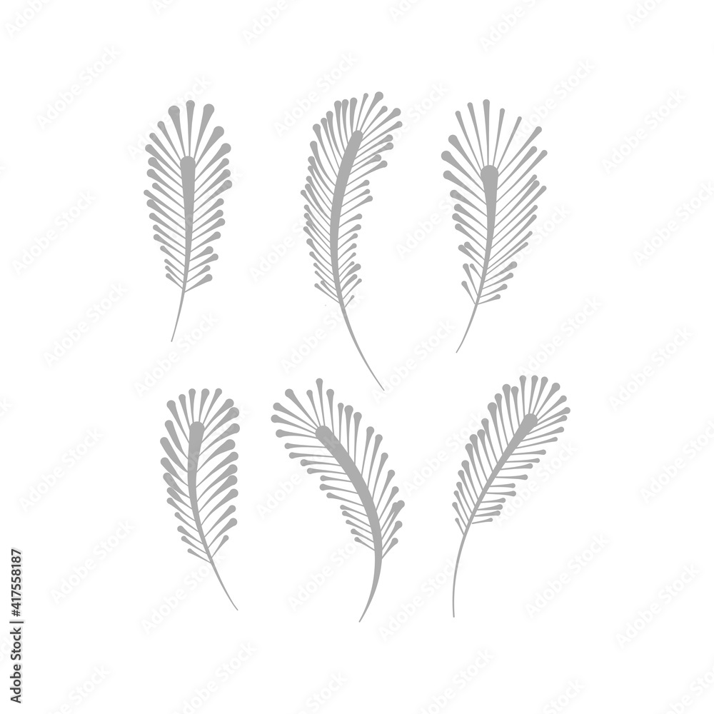 Fototapeta Bird feather silhouette vector design element set. Plum shape collection. Decorative plumage clipart isolated on white background