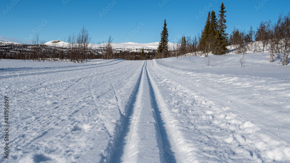 Skiing trip winter landscape with snow and sunshine Skiing trip winter landscape with snow and sunshine