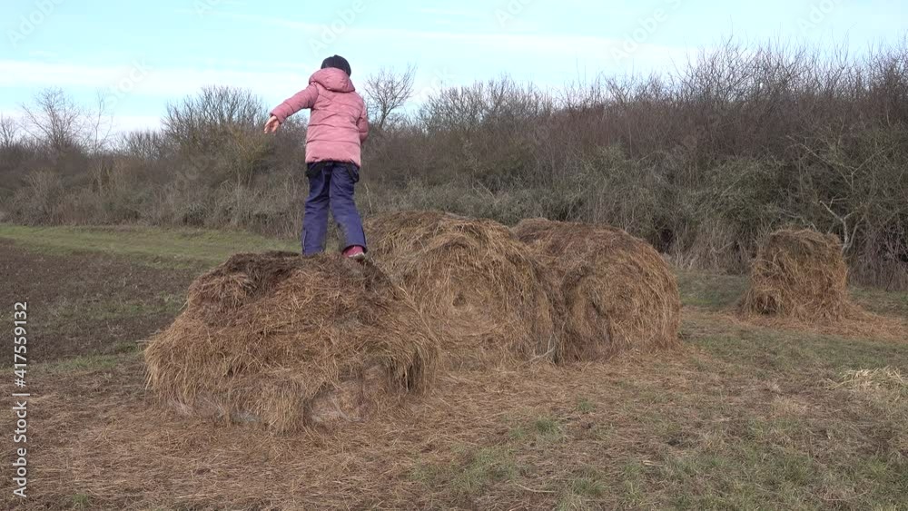 Cute little girl and a german shepherd dog in the field. They jumps up on the straw bale Cute little girl and a german shepherd dog in the field. They jumps up on the straw bale