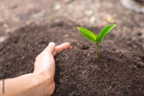 The perfect soil has a hand protecting concept of soil preparation for agricultural cultivation. Soil for gardening, organic agriculture, soil quality and World Soil Day.