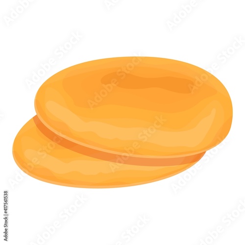 Cuisine pita bread icon. Cartoon of cuisine pita bread vector icon for web design isolated on white background