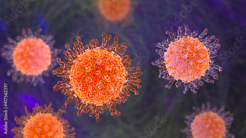 Herpes simplex virus photo