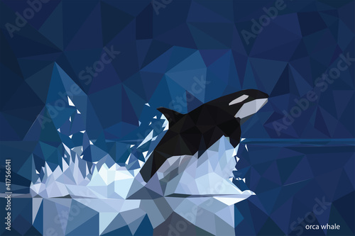 Orca whale