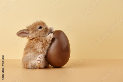 Easter bunny rabbit with chocolate egg on beige background photo