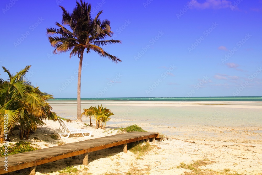 Fototapeta premium Cuba beach. Beautiful Caribbean sandy beach in Cuba.