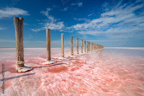 Minimalistic landscape - pink color of salt lake, Ukraine. Miracle of nature