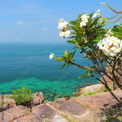 Thailand photo