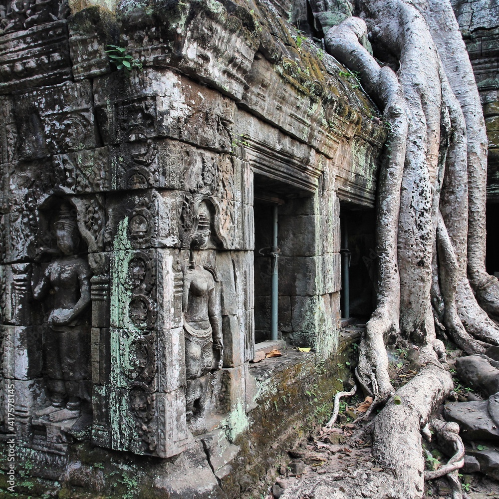 Ta Prohm - abandoned temple in Cambodia. Jungle temple of Angkor.