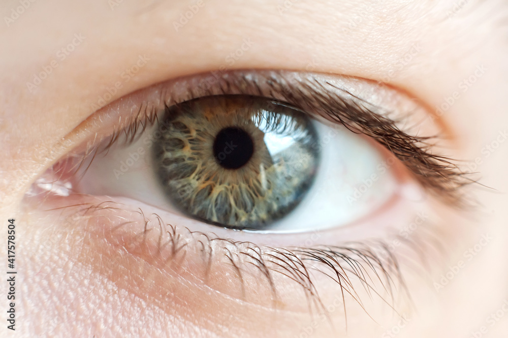 Fototapeta premium Close up of one eye. Human eye. 
