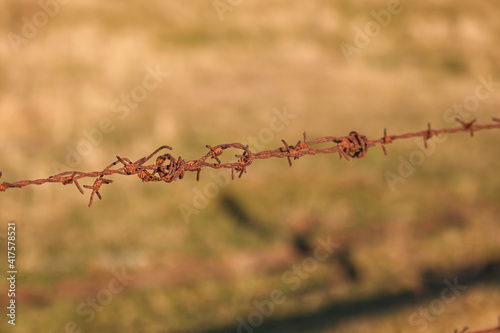 Barbed wire  © Hazard-Pictures