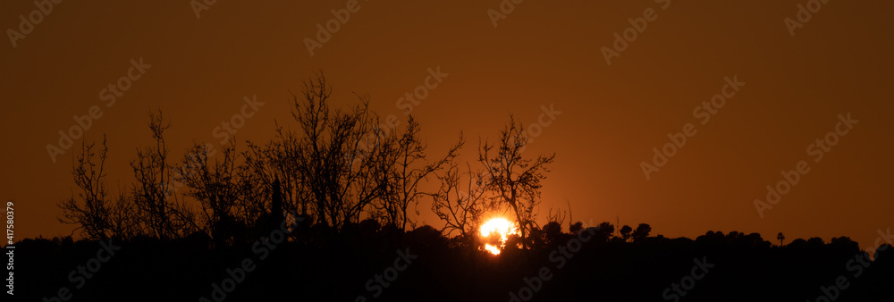 warm and beautiful panorama of the sunrise warm and beautiful panorama of the sunrise