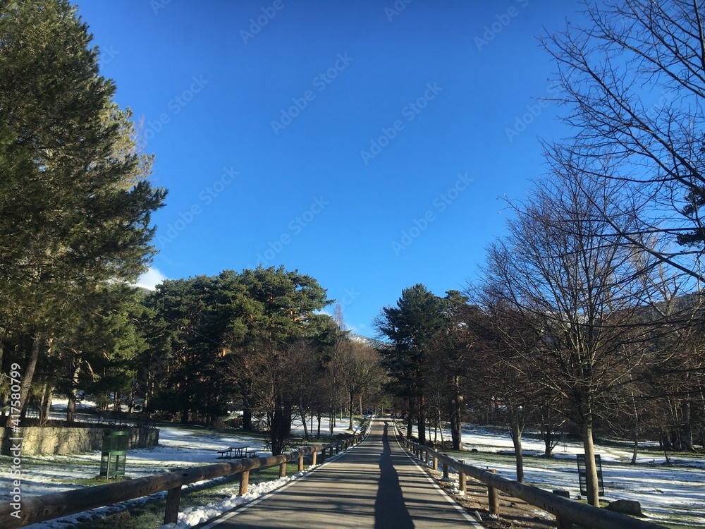 Obraz premium park
