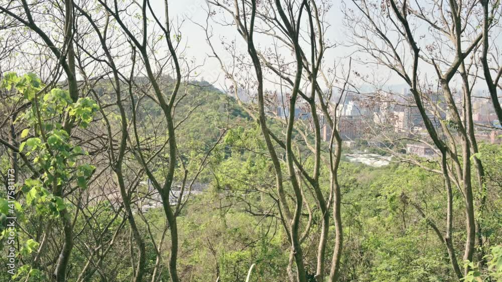 Fuyang Eco Park in Taipei, Taiwan. The landscape view from the mountain top. Fuyang Eco Park in Taipei, Taiwan. The landscape view from the mountain top.