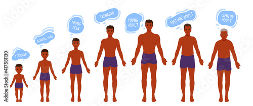 The human body aging process. A person aging, getting old. Man anatomy. Growth of people's bodies. A vector cartoon illustration.
