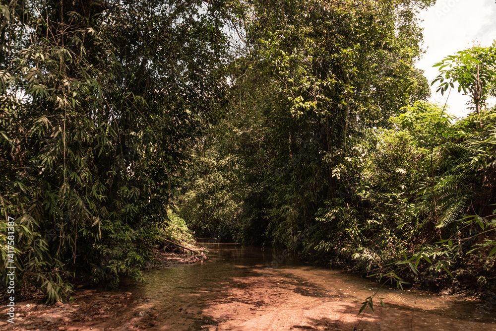 Fototapeta premium Piękna rzeka z kamieniami pośród dżungli, deszczowego lasu tropikalnego. 