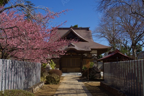 宗吾霊堂の春 河津桜の春 奥の院 大坊 薬師堂