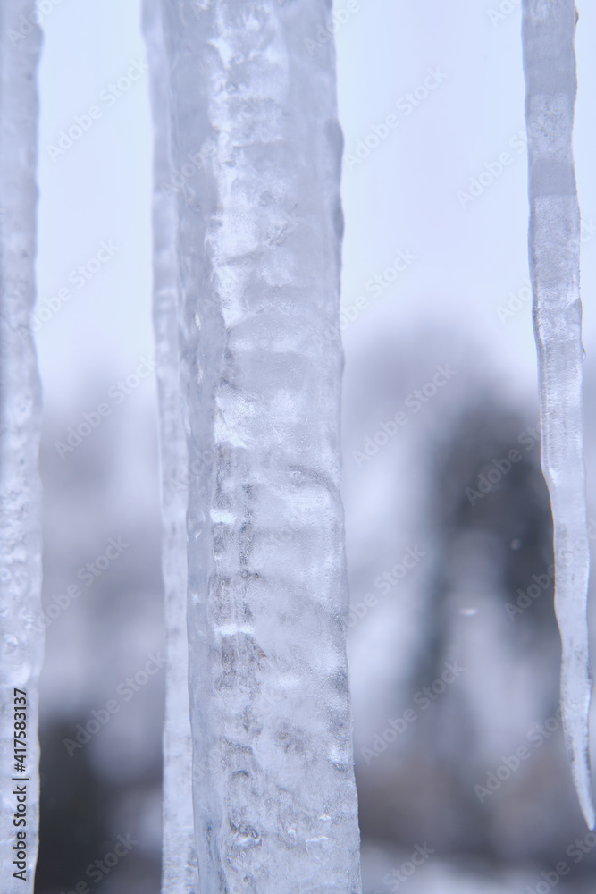 Fragment of a large icicle on a blurred background. Close-up. Selective focus