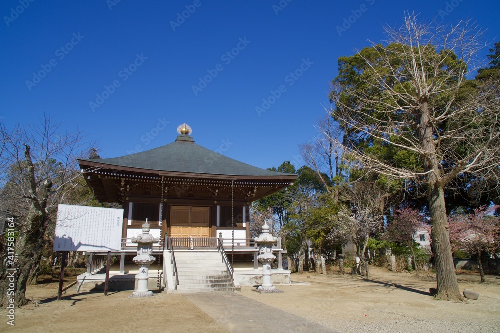 宗吾霊堂の春
河津桜の春　奥の院　大坊　薬師堂