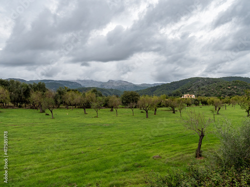 agriculture landscape of Ularo, majorca, spain