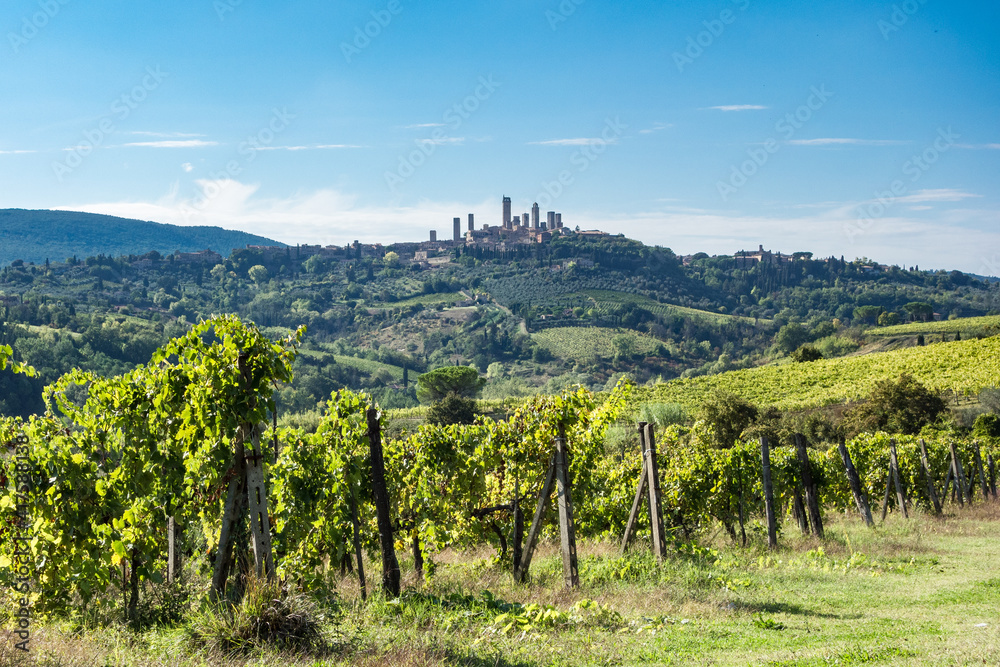Vineyard with San Gimignano and its towers on a hilltop under a blue sky