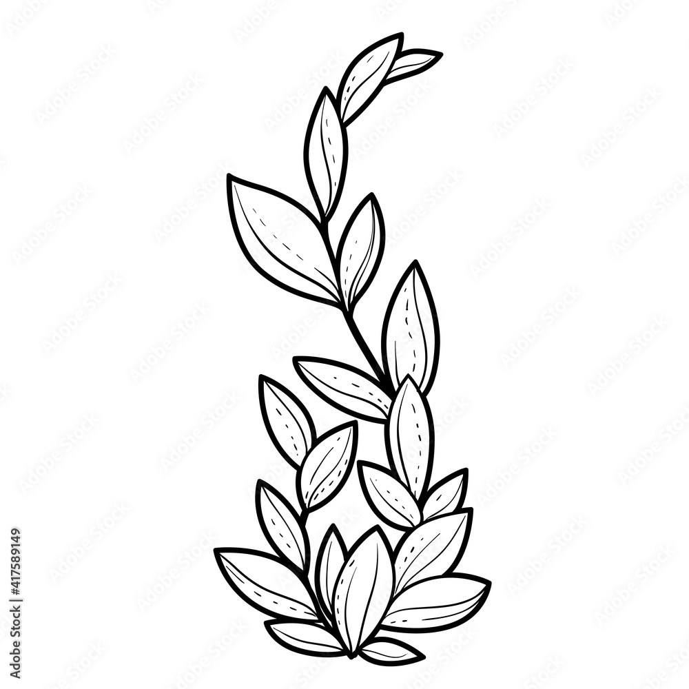 Tall seaweed coloring book linear drawing isolated on white background