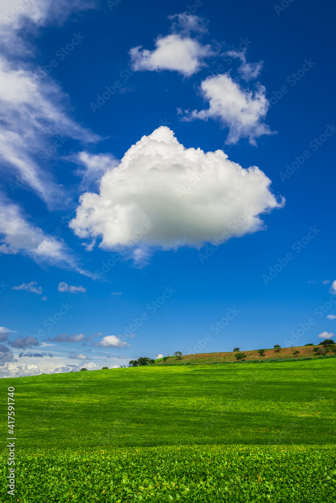 soy plantation, agriculture and development soy plantation, agriculture and development
