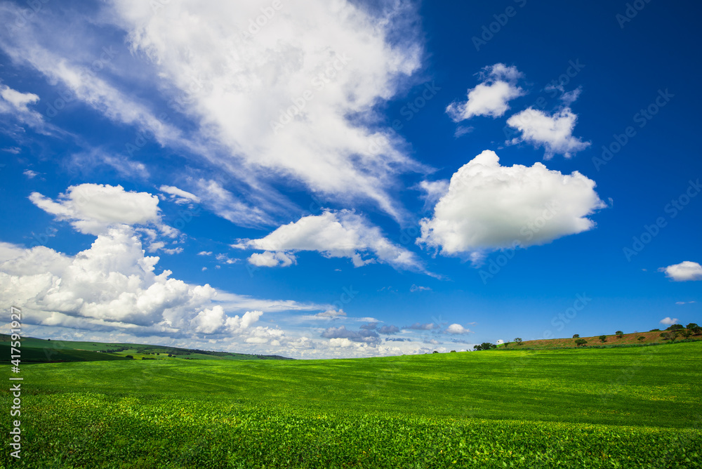 soy plantation, agriculture and development soy plantation, agriculture and development