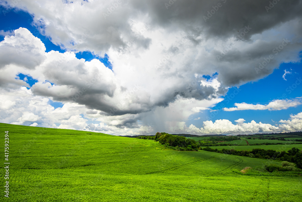 soy plantation, agriculture and development soy plantation, agriculture and development