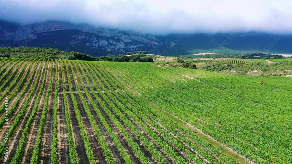 Landscape of vineyards and forest in the Sierra de Cantabria from a drone. Leza. Alava Province. Autonomous Community of the Basque Country. Spain. Europe Landscape of vineyards and forest in the Sierra de Cantabria from a drone. Leza. Alava Province. Autonomous Community of the Basque Country. Spain. Europe