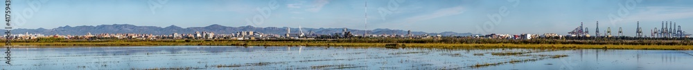 Entire Valencia city ultra wide skyline and albufera rice fields