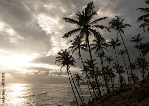 Tropikalny krajobraz, palmy na tle zachodzącego nieba i oceanu.